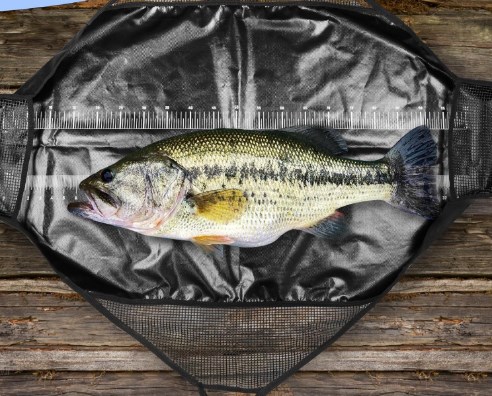 Photographed Fishing Unhooking - Fishing Bag Waterproof review and price